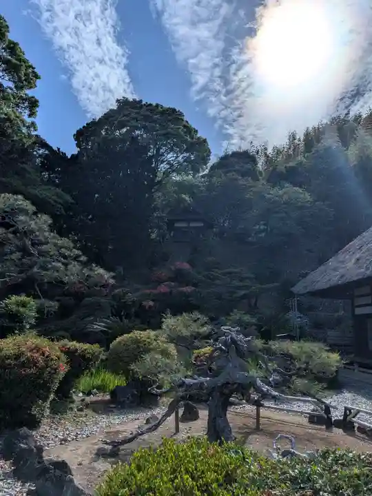 龍華寺(静岡県)