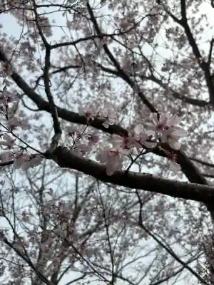 源空院（浅井寺）の{uncategorized: "未分類", other: "その他", undefined: "問題あり", building: "その他建物", grave: "お墓", sacred_gate: "鳥居", guardian: "狛犬", statue: "像", buddha: "仏像", history: "歴史", nature: "自然", garden: "庭園", animal: "動物", pagoda: "塔", temizu: "手水舎", mountain_gate: "山門・神門", sanctuary: "本殿・本堂", subordinate: "末社・摂社", art: "芸術", scenery: "景色", jizo: "地蔵", ema: "絵馬", goshuin: "御朱印", omikuji: "おみくじ", items: "授与品その他", amulet: "お守り", goshuincho: "御朱印帳", eats: "食事", festival: "お祭り", votive_dance: "神楽", shichigosan: "七五三参", wedding: "結婚式", experience: "体験その他", initially: "初詣", around: "周辺", anti_infection: "感染症対策"}