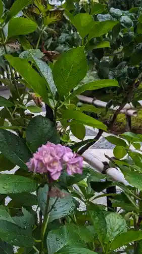 荘厳寺(京都府)