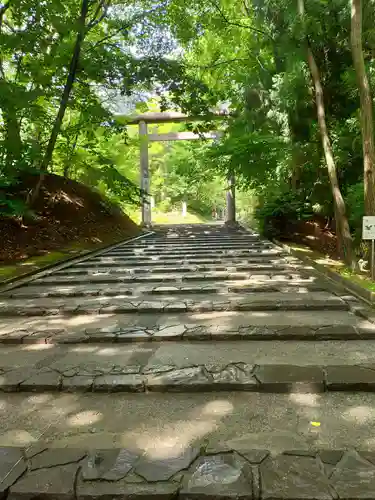 北海道神宮の鳥居