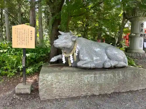 冨士御室浅間神社の狛犬