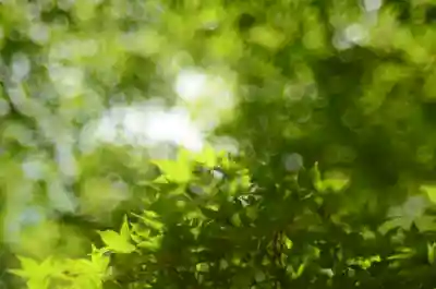  智積院(京都府)