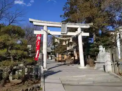 鎮守氷川神社(埼玉県)