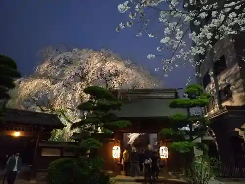 常圓寺(東京都)