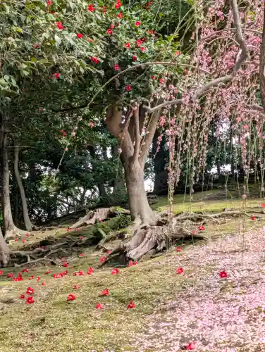 城南宮の{uncategorized: "未分類", other: "その他", undefined: "問題あり", building: "その他建物", grave: "お墓", sacred_gate: "鳥居", guardian: "狛犬", statue: "像", buddha: "仏像", history: "歴史", nature: "自然", garden: "庭園", animal: "動物", pagoda: "塔", temizu: "手水舎", mountain_gate: "山門・神門", sanctuary: "本殿・本堂", subordinate: "末社・摂社", art: "芸術", scenery: "景色", jizo: "地蔵", ema: "絵馬", goshuin: "御朱印", omikuji: "おみくじ", items: "授与品その他", amulet: "お守り", goshuincho: "御朱印帳", eats: "食事", festival: "お祭り", votive_dance: "神楽", shichigosan: "七五三参", wedding: "結婚式", experience: "体験その他", initially: "初詣", around: "周辺", anti_infection: "感染症対策"}