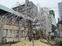 三重縣護國神社の自然