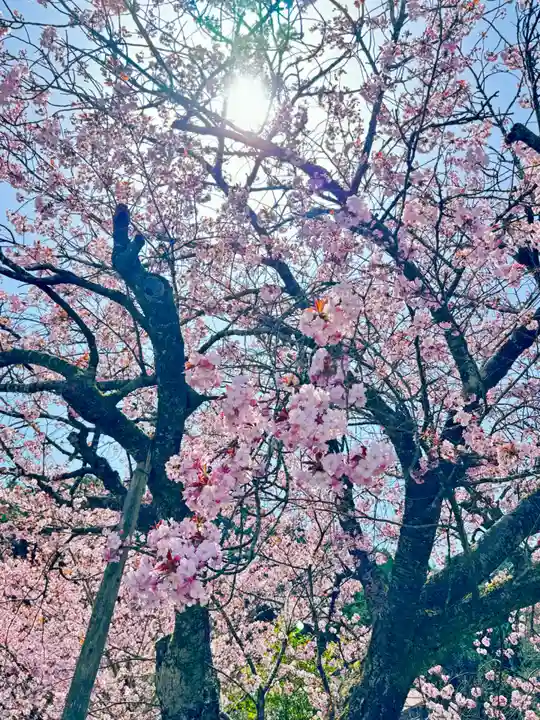 春日神社(京都府)