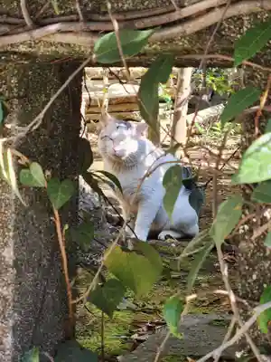 江島神社(神奈川県)