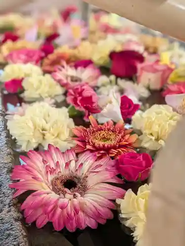 鳩森八幡神社(東京都)