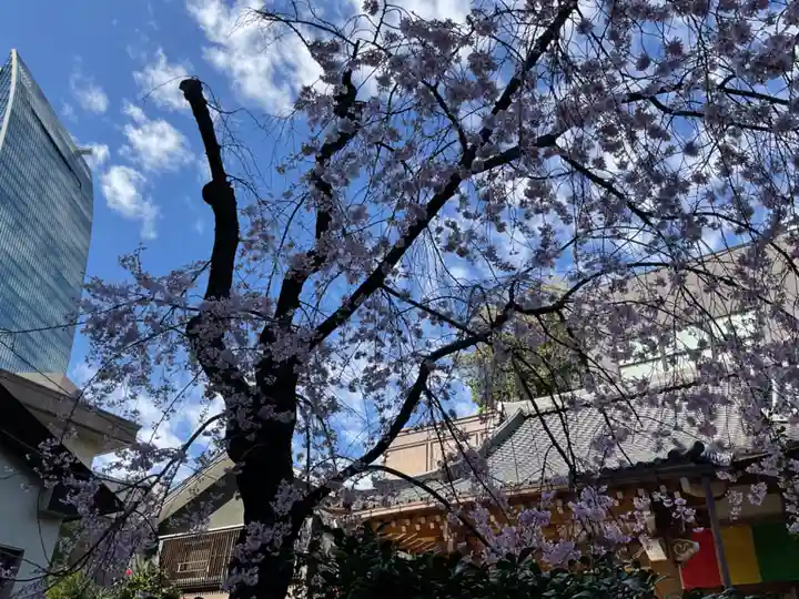 日蓮宗瑞光山久遠寺(愛知県)