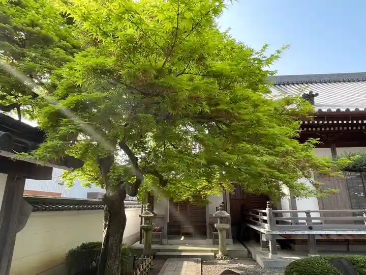 梅香寺(三重県)