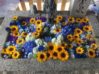 札幌諏訪神社の手水舎