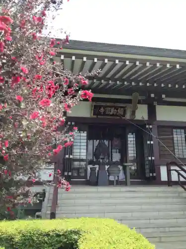 岩槻大師彌勒密寺の本殿・本堂