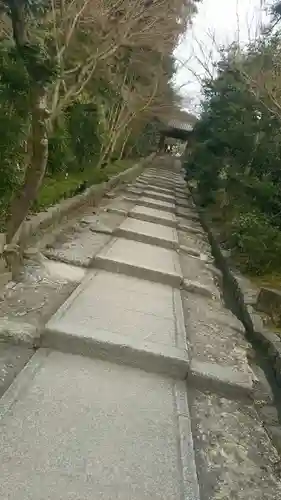 高台寺（高台寿聖禅寺・高臺寺）(京都府)