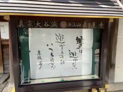 真蓮寺(京都府)