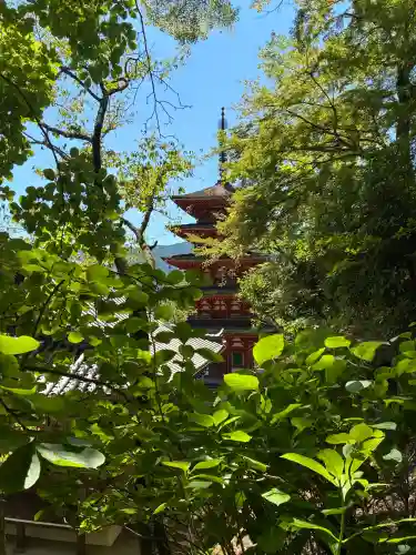 長谷寺(奈良県)