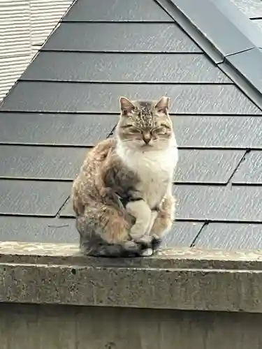 前原御嶽神社の{uncategorized: "未分類", other: "その他", undefined: "問題あり", building: "その他建物", grave: "お墓", sacred_gate: "鳥居", guardian: "狛犬", statue: "像", buddha: "仏像", history: "歴史", nature: "自然", garden: "庭園", animal: "動物", pagoda: "塔", temizu: "手水舎", mountain_gate: "山門・神門", sanctuary: "本殿・本堂", subordinate: "末社・摂社", art: "芸術", scenery: "景色", jizo: "地蔵", ema: "絵馬", goshuin: "御朱印", omikuji: "おみくじ", items: "授与品その他", amulet: "お守り", goshuincho: "御朱印帳", eats: "食事", festival: "お祭り", votive_dance: "神楽", shichigosan: "七五三参", wedding: "結婚式", experience: "体験その他", initially: "初詣", around: "周辺", anti_infection: "感染症対策"}