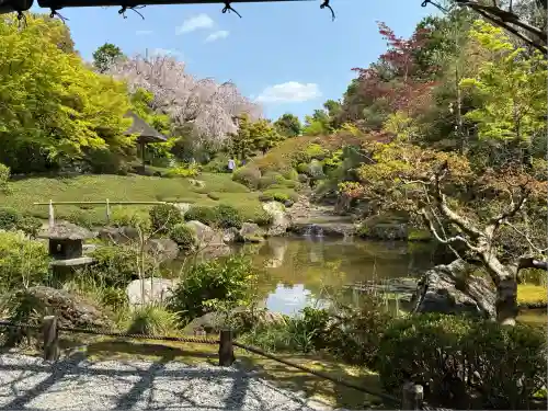 退蔵院(京都府)