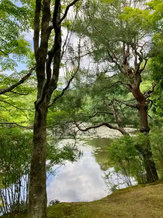 龍安寺(京都府)