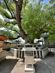 杭全神社(大阪府)