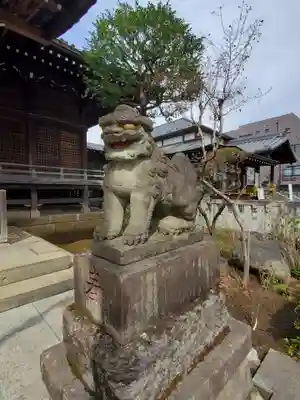 白山神社の狛犬