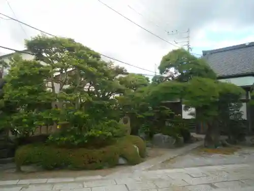 補陀洛寺の庭園