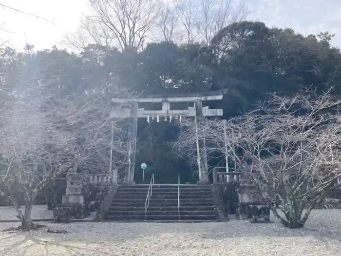 高知県護国神社の鳥居