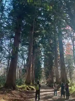 戸隠神社奥社(長野県)