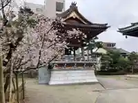 専光寺(石川県)