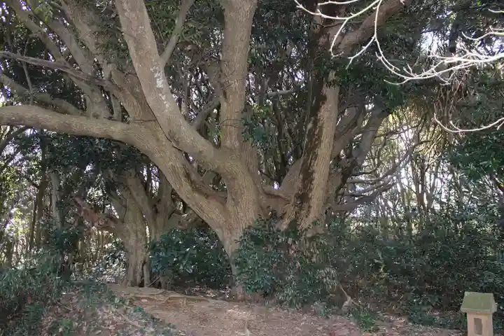 猿田神社の自然