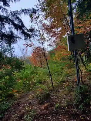 飯綱神社の自然