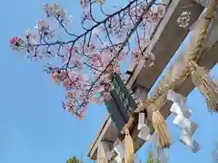 阿部野神社の建物その他