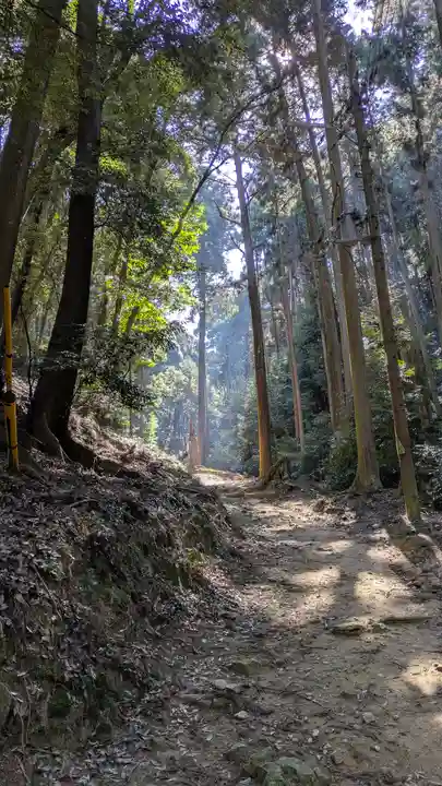 醍醐寺(上醍醐)(京都府)