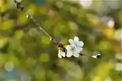 鹿島大神宮の自然