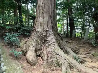塩船神明社の{uncategorized: "未分類", other: "その他", undefined: "問題あり", building: "その他建物", grave: "お墓", sacred_gate: "鳥居", guardian: "狛犬", statue: "像", buddha: "仏像", history: "歴史", nature: "自然", garden: "庭園", animal: "動物", pagoda: "塔", temizu: "手水舎", mountain_gate: "山門・神門", sanctuary: "本殿・本堂", subordinate: "末社・摂社", art: "芸術", scenery: "景色", jizo: "地蔵", ema: "絵馬", goshuin: "御朱印", omikuji: "おみくじ", items: "授与品その他", amulet: "お守り", goshuincho: "御朱印帳", eats: "食事", festival: "お祭り", votive_dance: "神楽", shichigosan: "七五三参", wedding: "結婚式", experience: "体験その他", initially: "初詣", around: "周辺", anti_infection: "感染症対策"}
