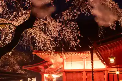 富士山本宮浅間大社(静岡県)