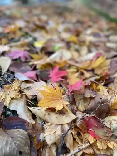 花巻温泉稲荷神社の自然