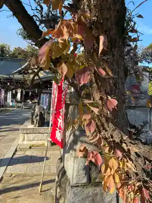 大生郷天満宮(茨城県)