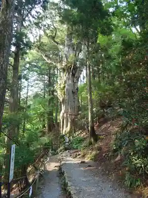 玉置神社(奈良県)