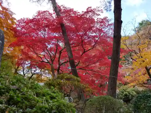 洞窟観音・徳明園・山徳記念館の景色