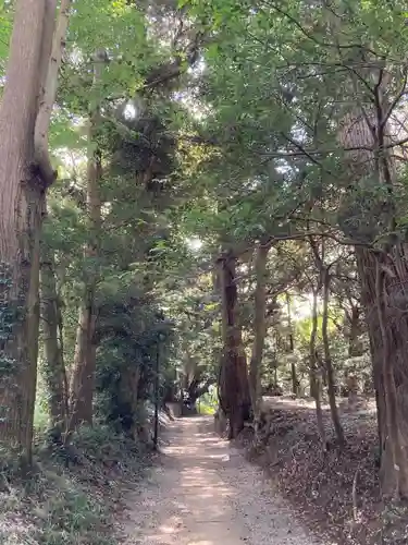 縣神社(千葉県)