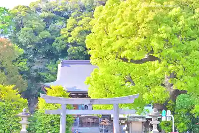 瀬戸神社(神奈川県)