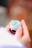 瀧宮神社(広島県)