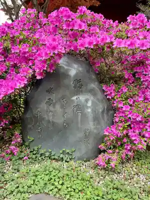 清水観音堂(東京都)