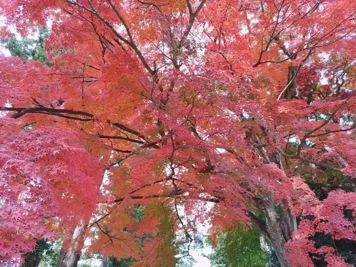 賀茂神社(宮城県)