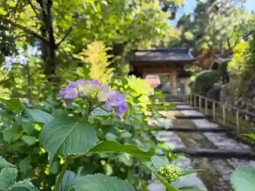本興寺(石川県)