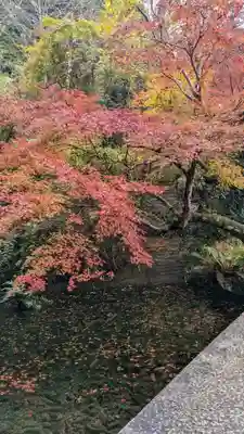 三宅八幡宮(京都府)