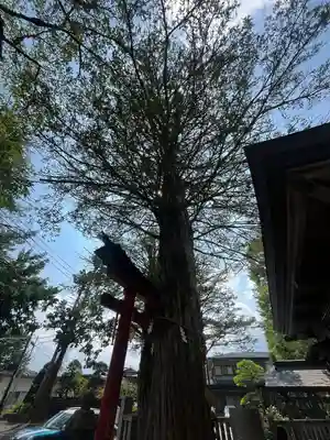 淺間神社（忍野八海）(山梨県)