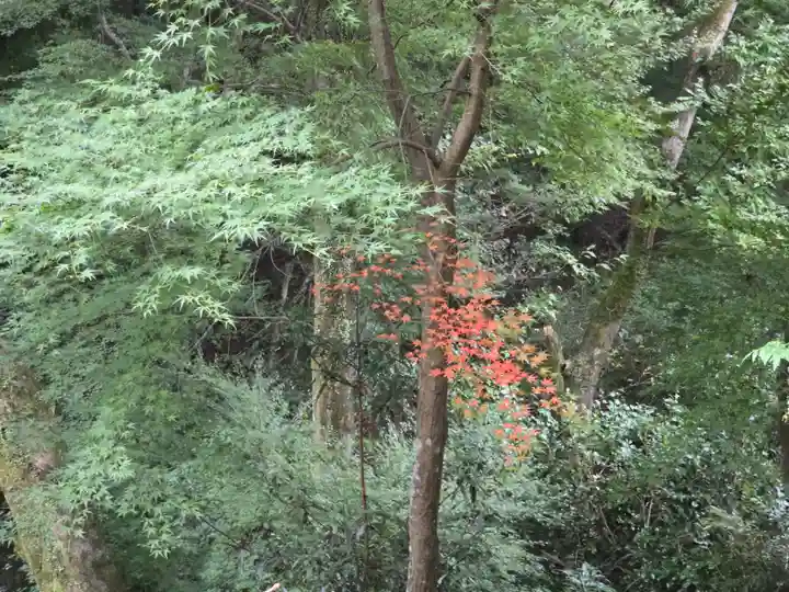 神峯山寺(大阪府)