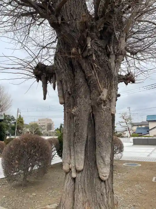 日乗院の{uncategorized: "未分類", other: "その他", undefined: "問題あり", building: "その他建物", grave: "お墓", sacred_gate: "鳥居", guardian: "狛犬", statue: "像", buddha: "仏像", history: "歴史", nature: "自然", garden: "庭園", animal: "動物", pagoda: "塔", temizu: "手水舎", mountain_gate: "山門・神門", sanctuary: "本殿・本堂", subordinate: "末社・摂社", art: "芸術", scenery: "景色", jizo: "地蔵", ema: "絵馬", goshuin: "御朱印", omikuji: "おみくじ", items: "授与品その他", amulet: "お守り", goshuincho: "御朱印帳", eats: "食事", festival: "お祭り", votive_dance: "神楽", shichigosan: "七五三参", wedding: "結婚式", experience: "体験その他", initially: "初詣", around: "周辺", anti_infection: "感染症対策"}